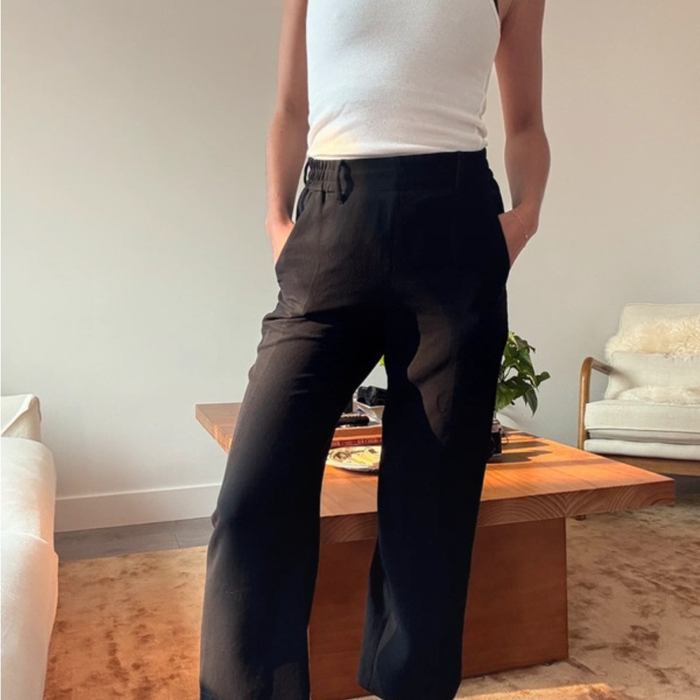 Aritzia Black Ankle Pants